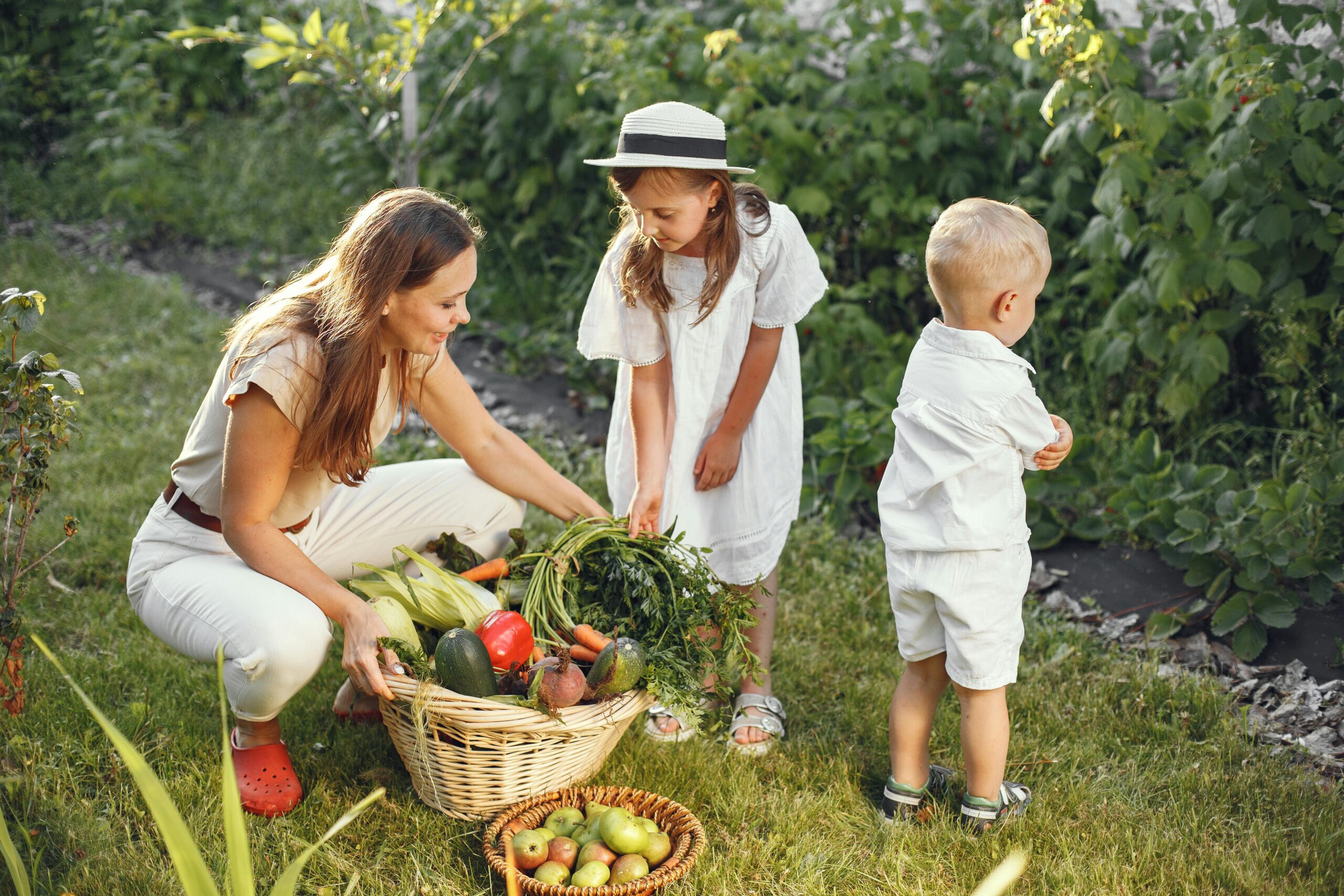 Giardino sostenibile: guida pratica per iniziare