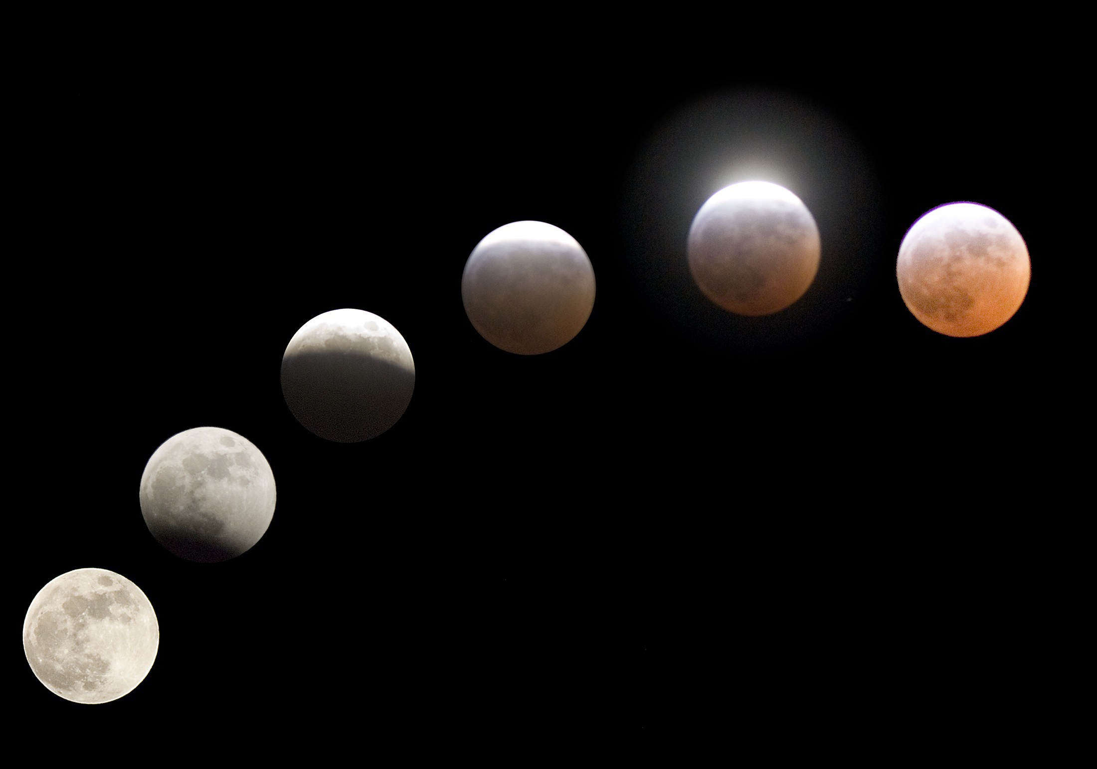 Calendario Lunare Semine 2026: Guida Completa per Orto Perfetto Mese per Mese